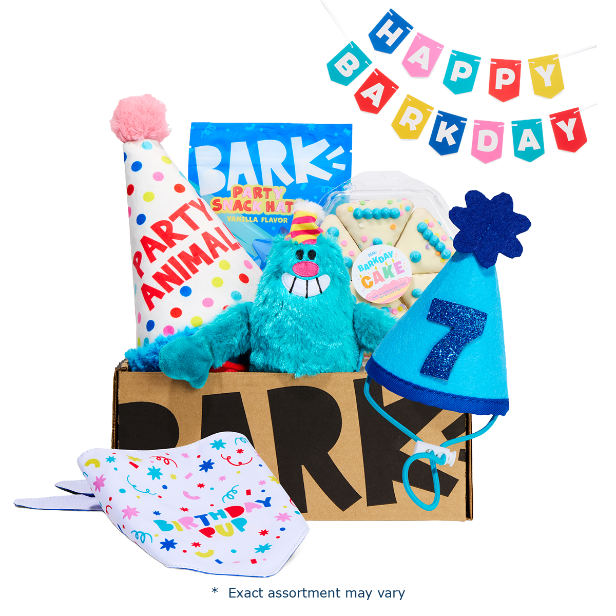 Birthday Classic Plush Gift Box – BARK