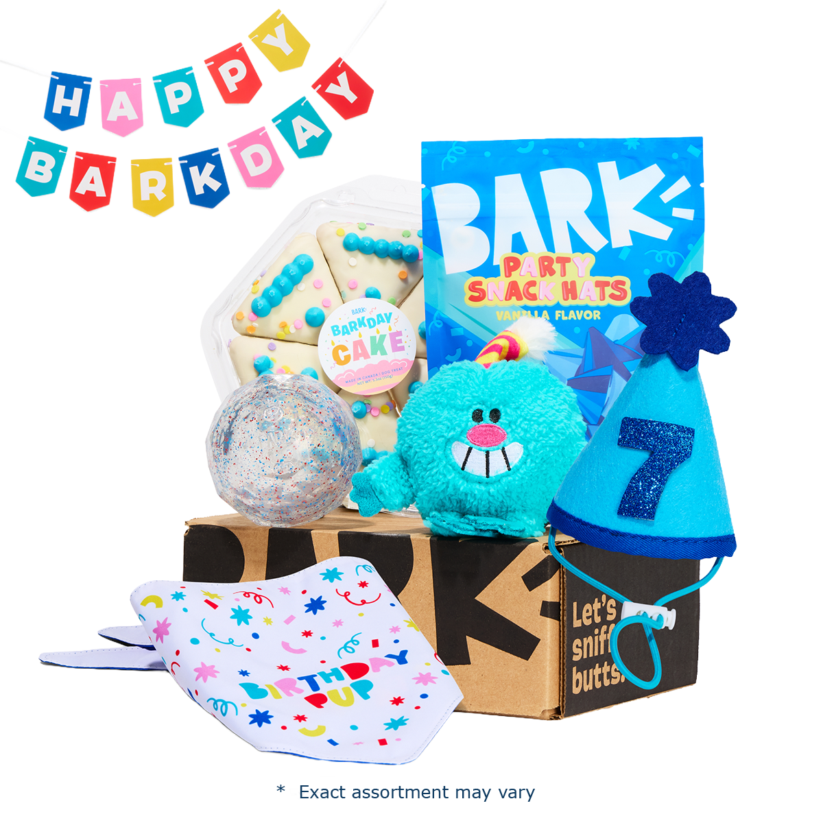 Birthday Super Chewer Gift Box – BARK