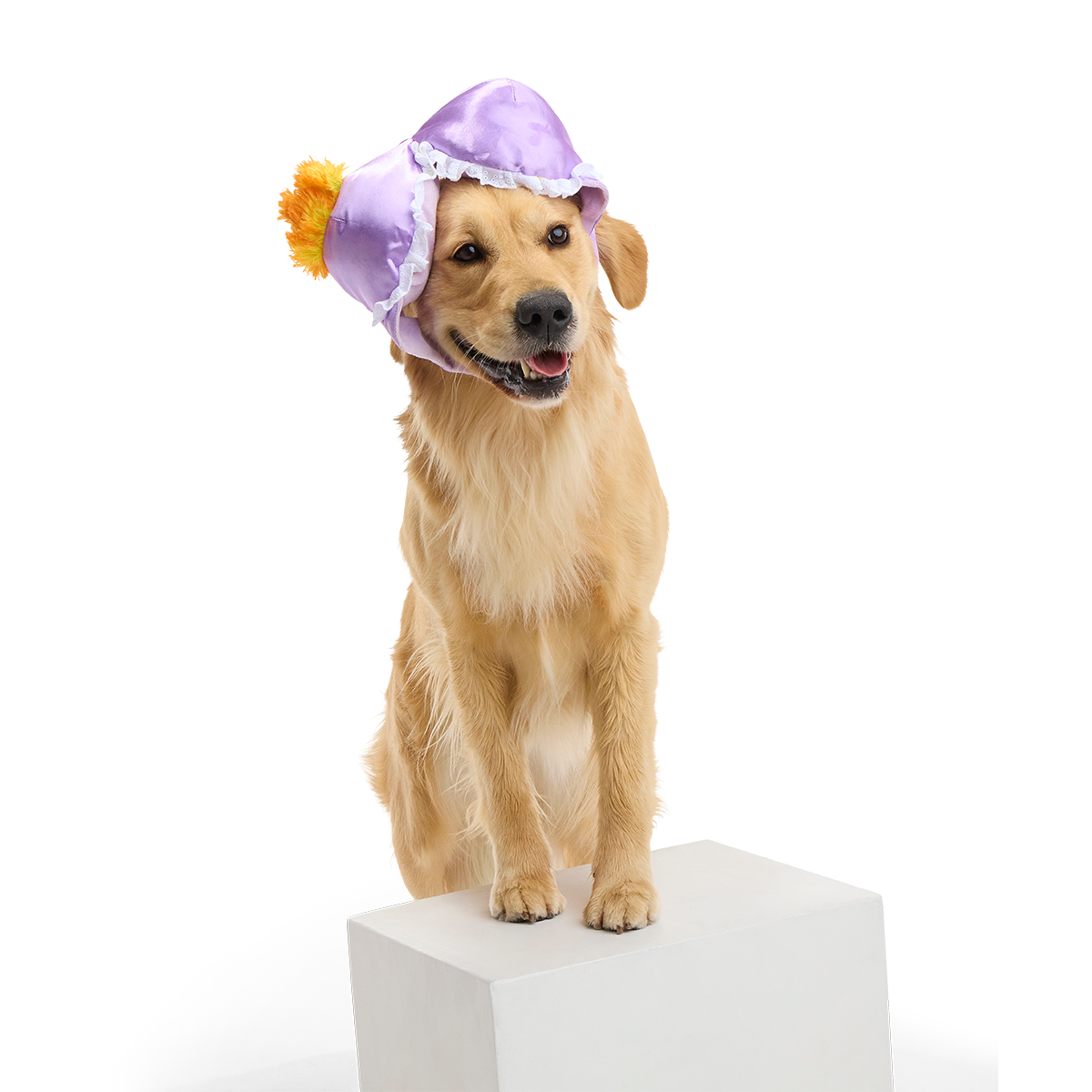 Bite the Patriarchy Plush Tug Dog Toy