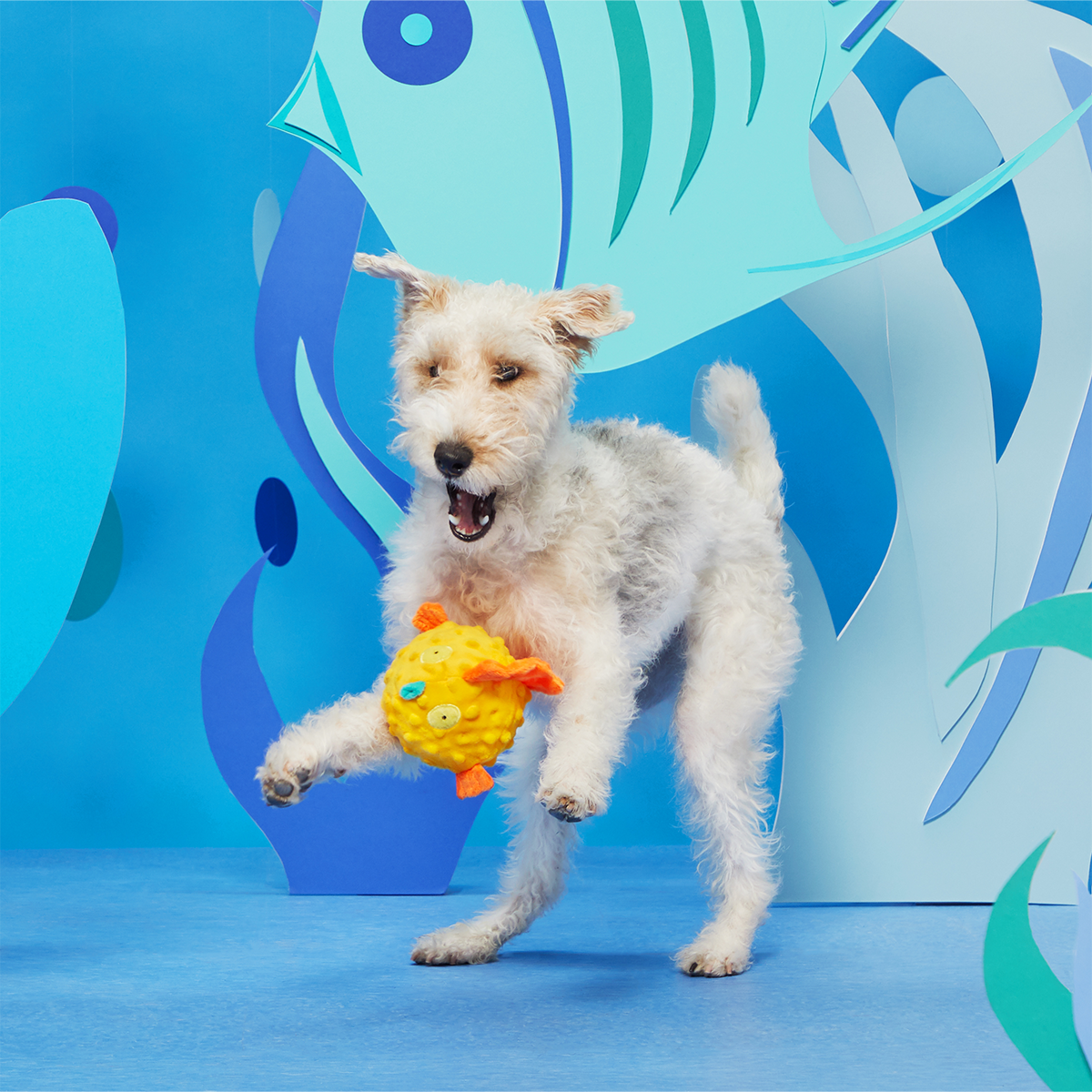Bloated Barry the Blowfish Plush Fetch Dog Toy