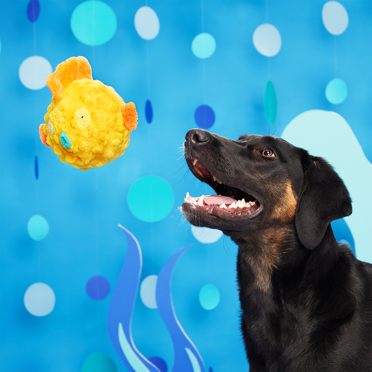 Bloated Barry the Blowfish Plush Fetch Dog Toy