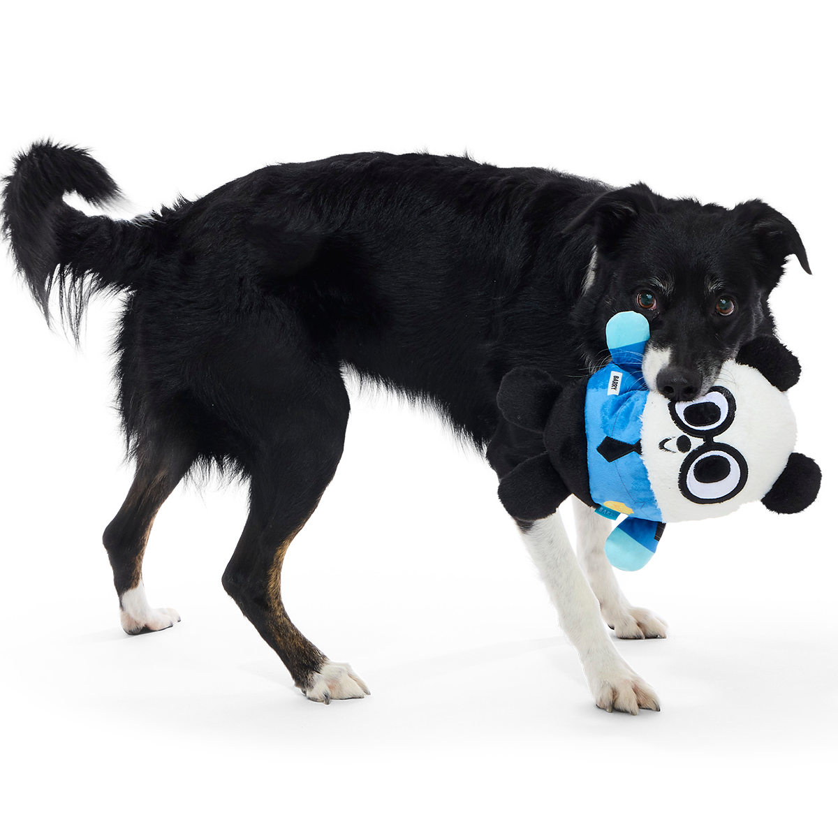 Boarding Panda Plush 2-in-1 Dog Toy