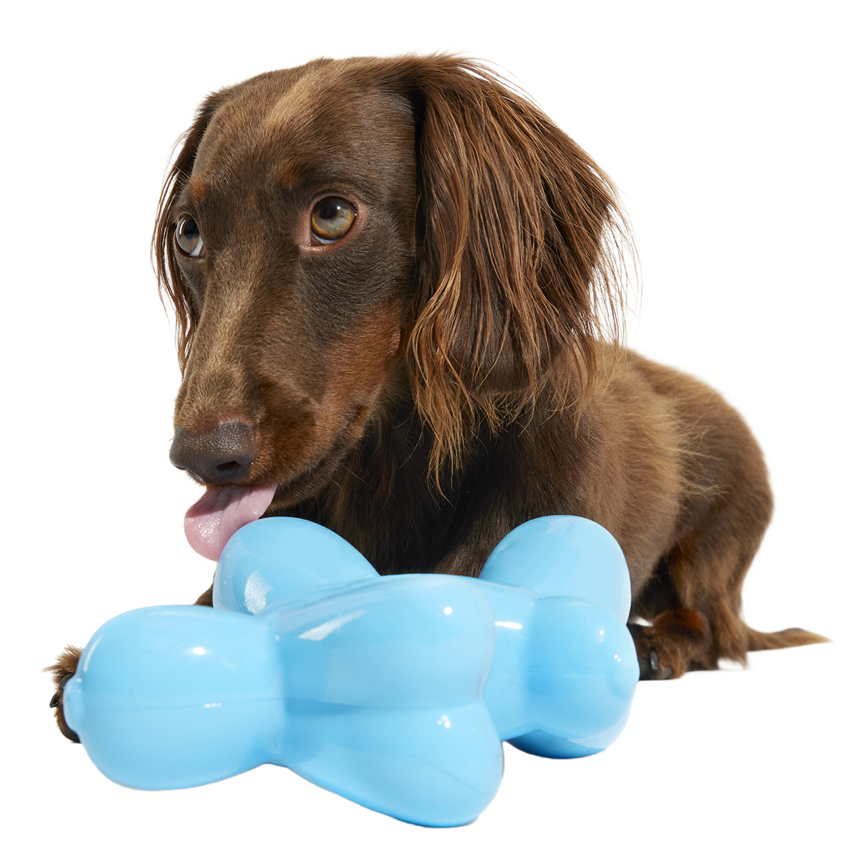 Bob the Balloon Super Chewer Durable Gnaw Dog Toy