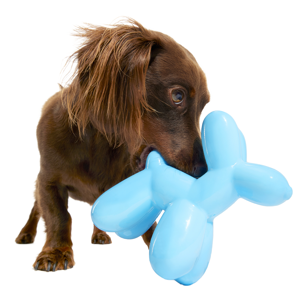 Bob the Balloon Super Chewer Durable Gnaw Dog Toy