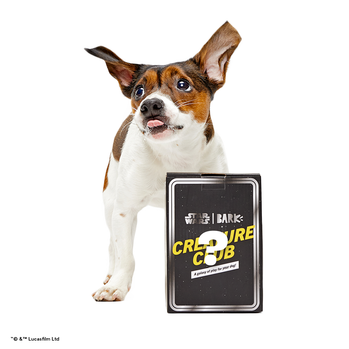 Star Wars™ Creature Club, Plush Monthly Dog Toys