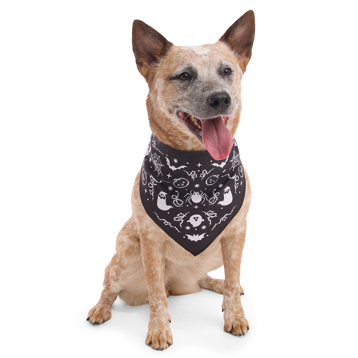 Boo Dog Bandana