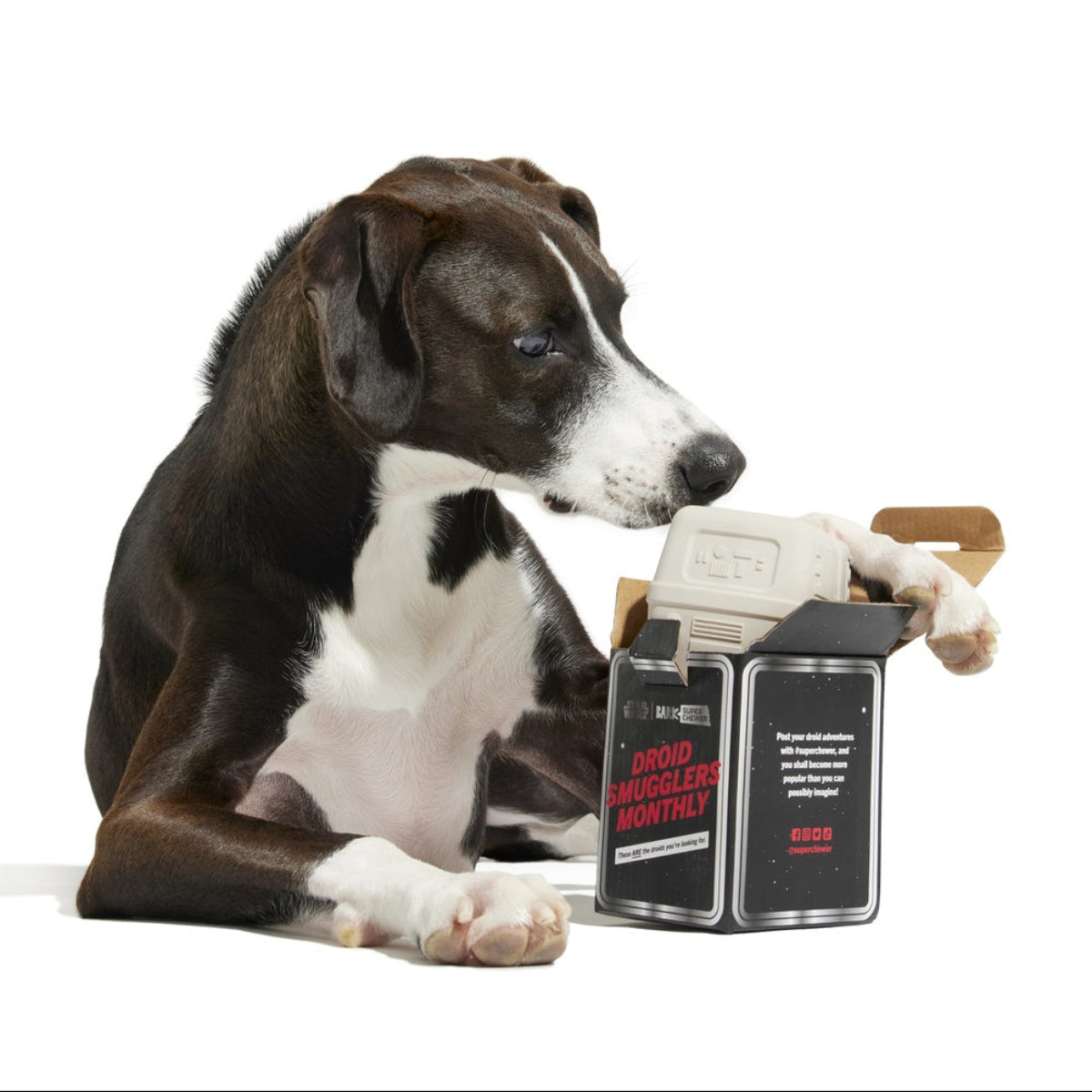 Star Wars™ Droid Smugglers Club, Super Chewer Durable Monthly Dog Toys