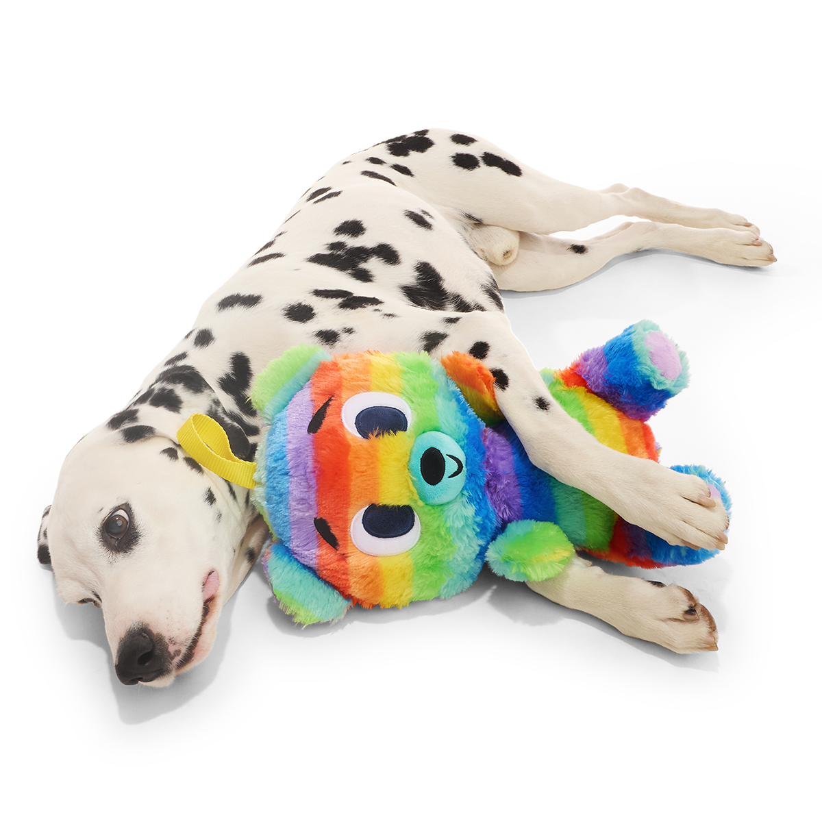 Buster the Piñata Plush Extra-Large + Multi-Part + Fetch Dog Toy
