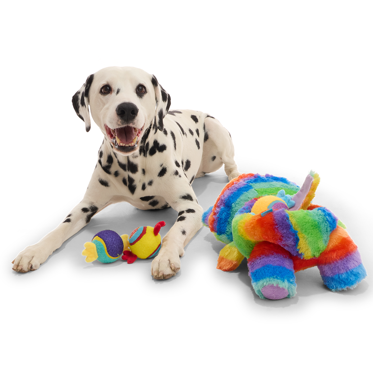 Buster the Piñata Plush Extra-Large + Multi-Part + Fetch Dog Toy