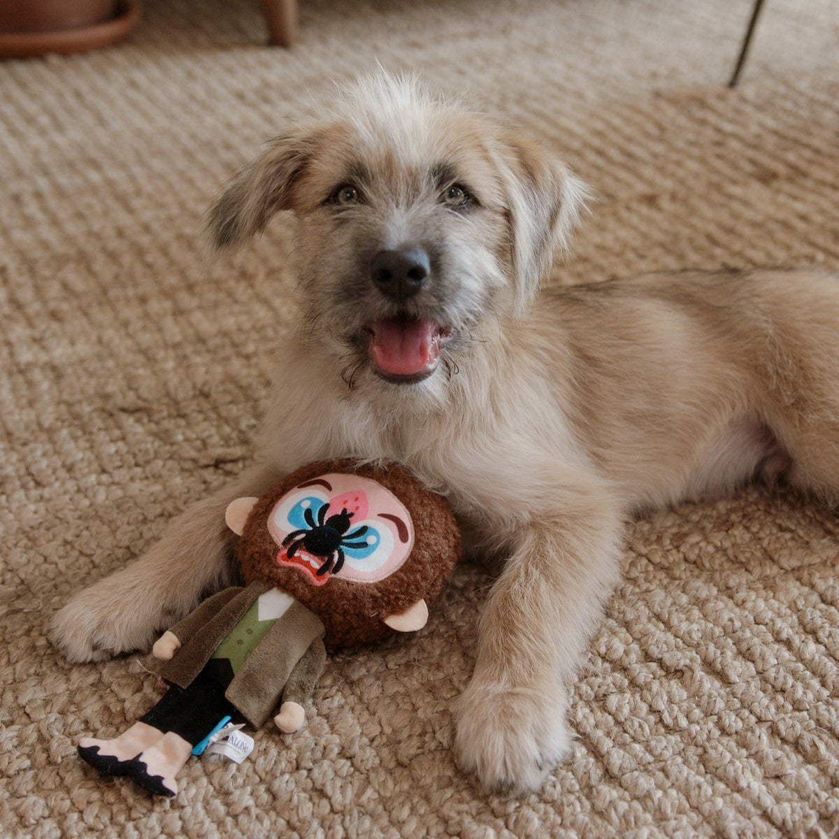 CLASSIC_208793_MARV_ZIGGY_001_cropped#Size_M/L