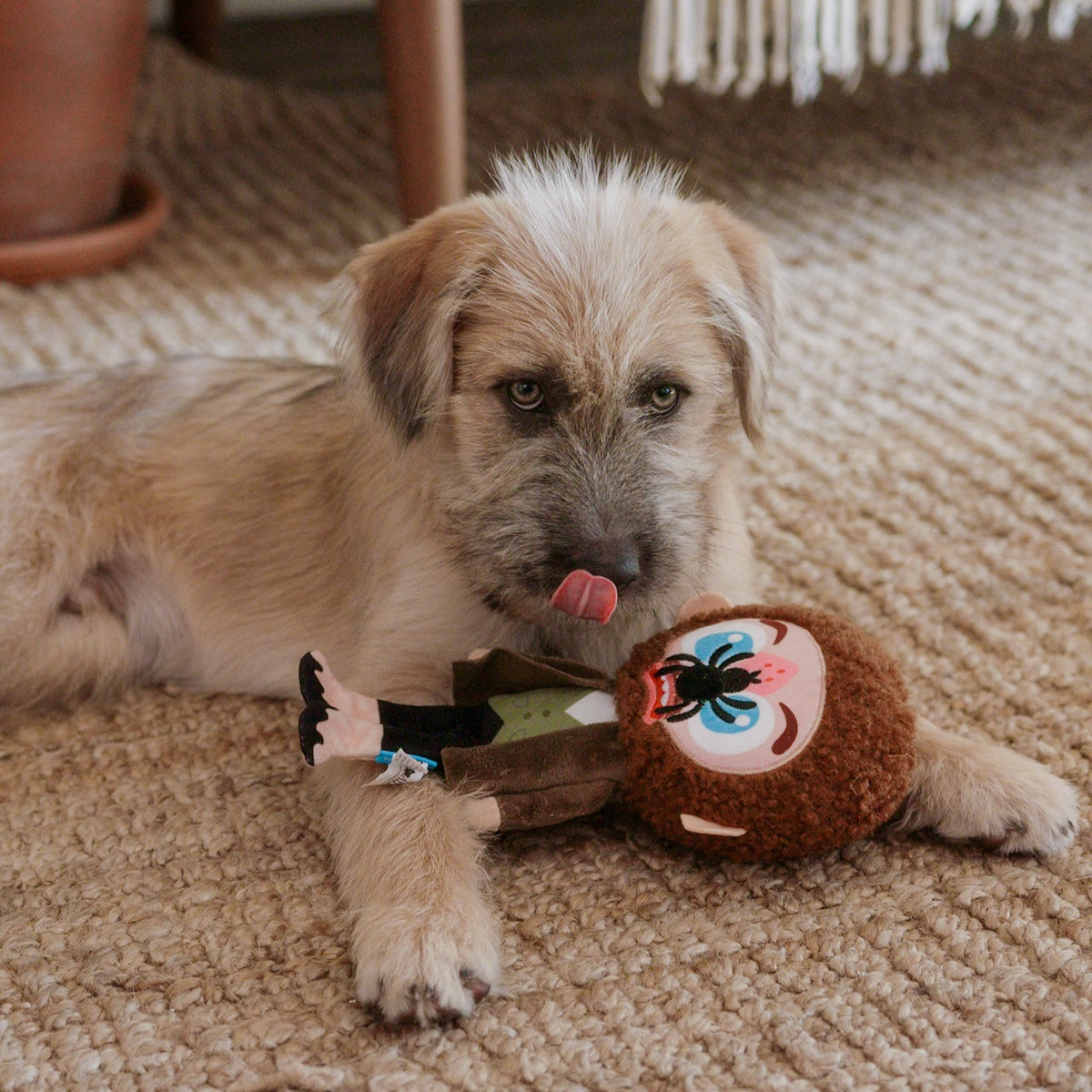 CLASSIC_208793_MARV_ZIGGY_003_cropped#Size_M/L