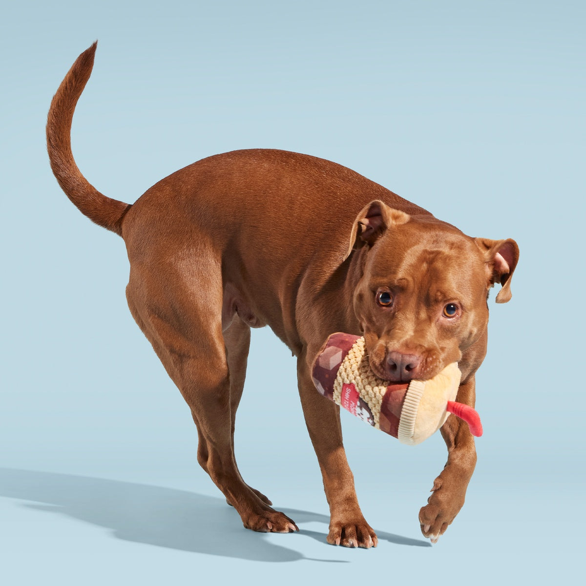 Cold Chew Coffee Plush Tug Dog Toy