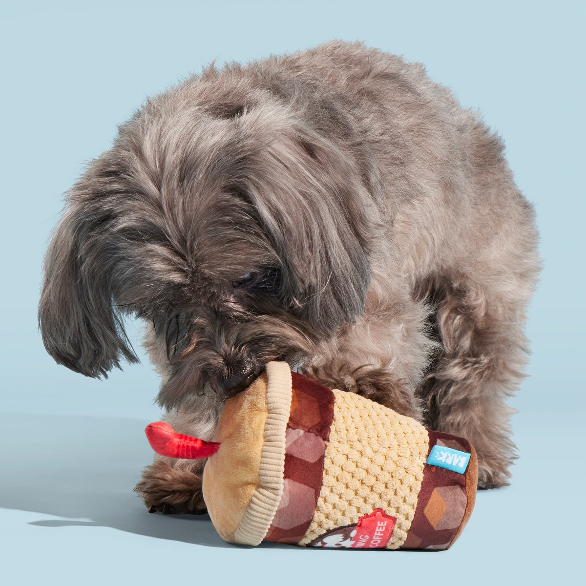 Cold Chew Coffee Plush Tug Dog Toy