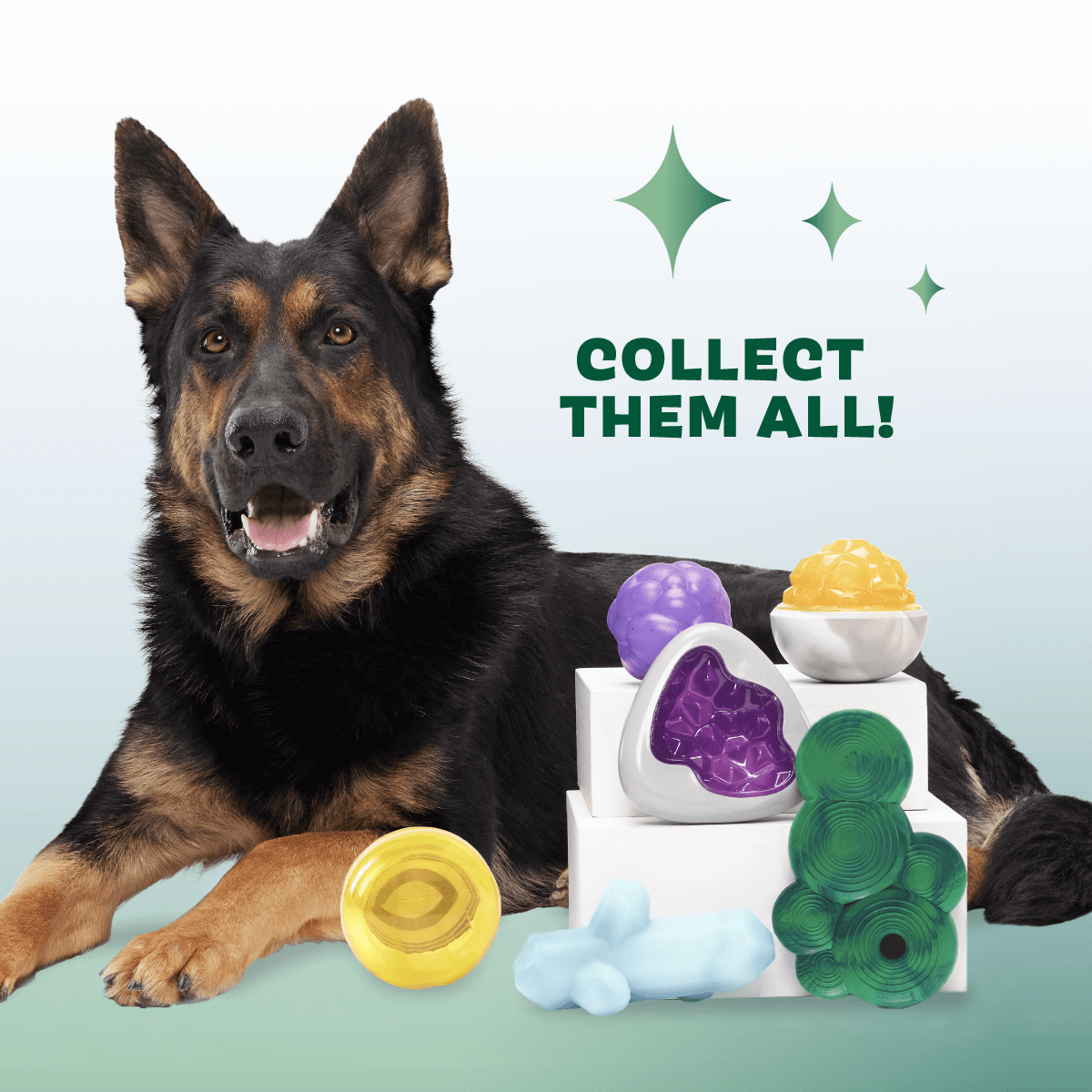 Crystal of the Month Club, Super Chewer Durable Monthly Dog Toys