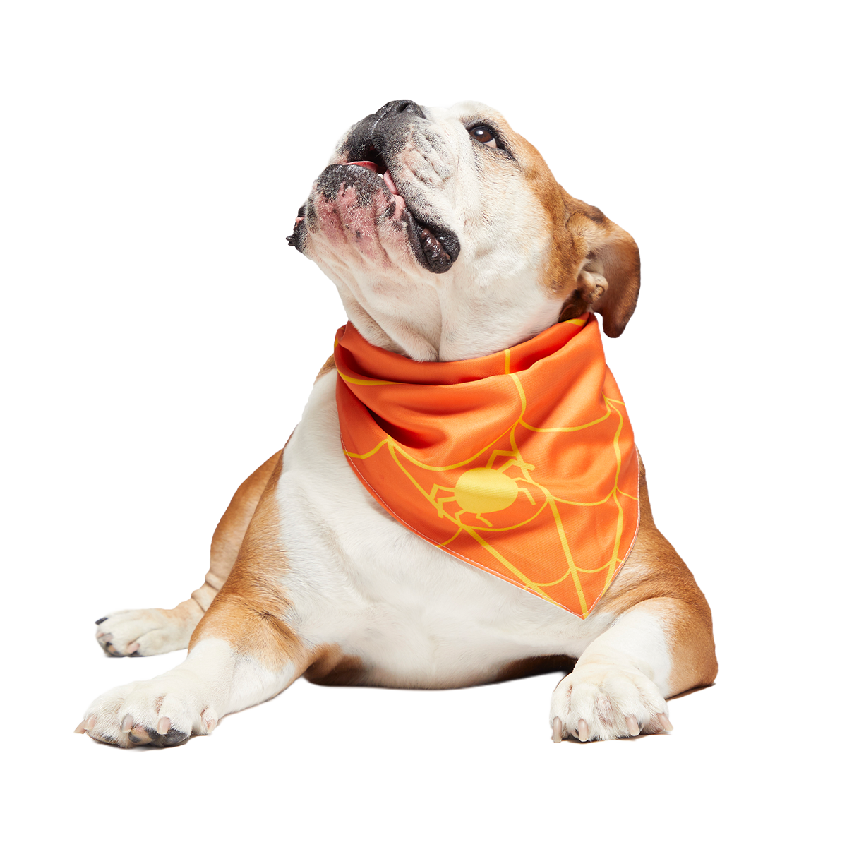 Candy Corn Dog Bandana
