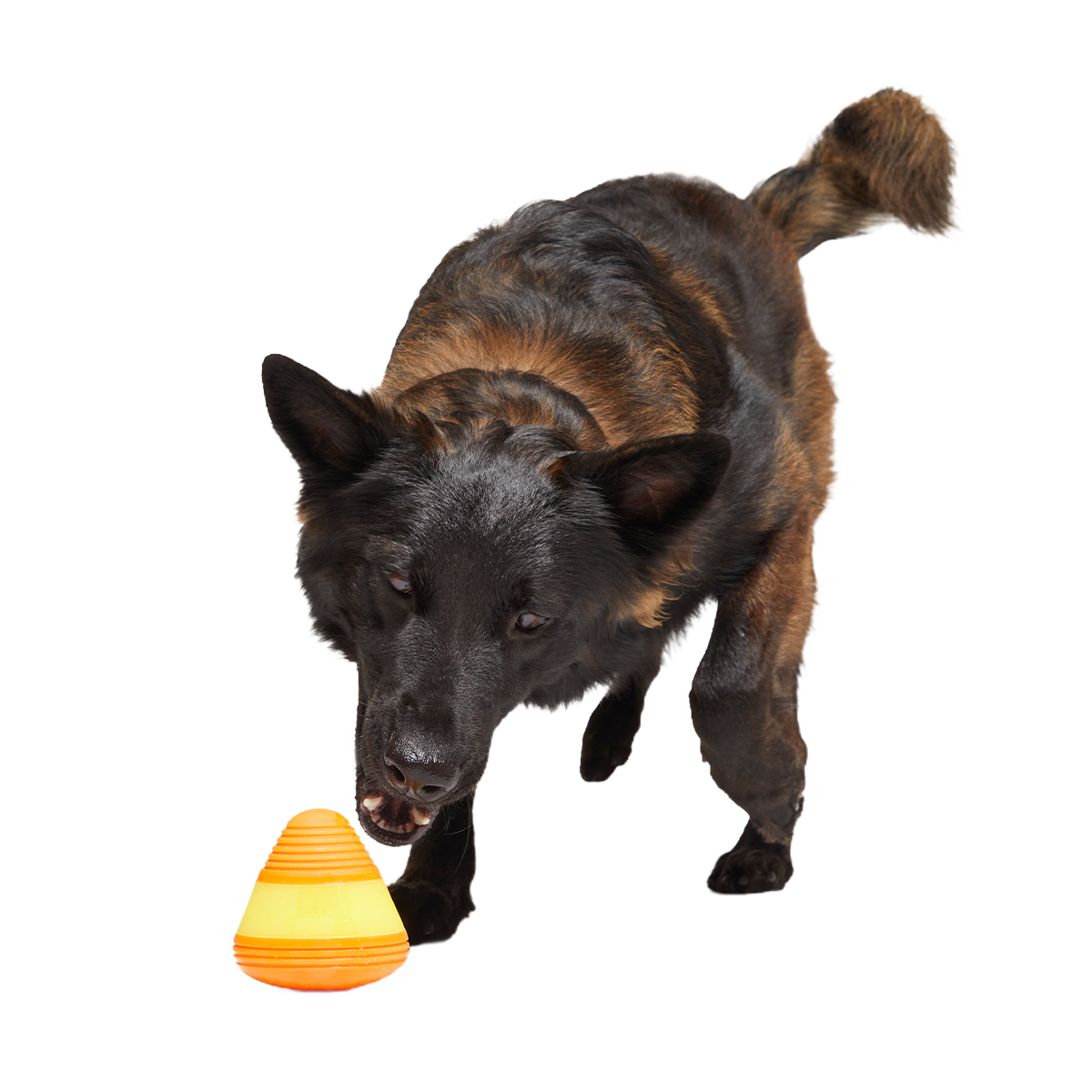 Canine Corn Super Chewer Durable Gnaw + Enrichment Dog Toy