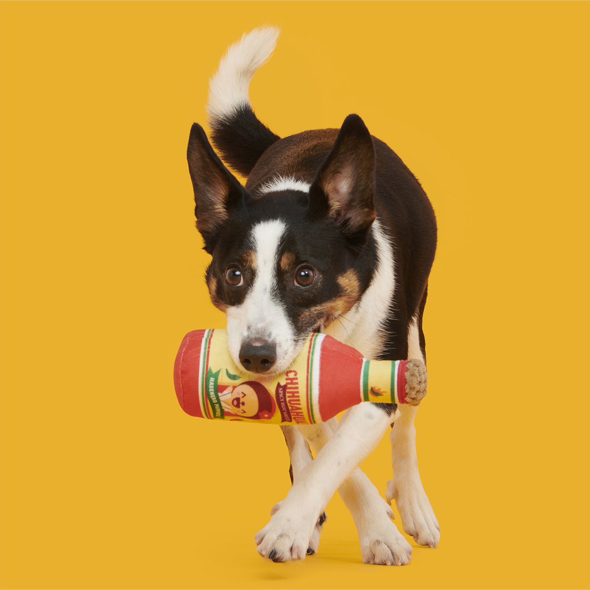 Chihuahua Hot Sauce Plush Tug Dog Toy