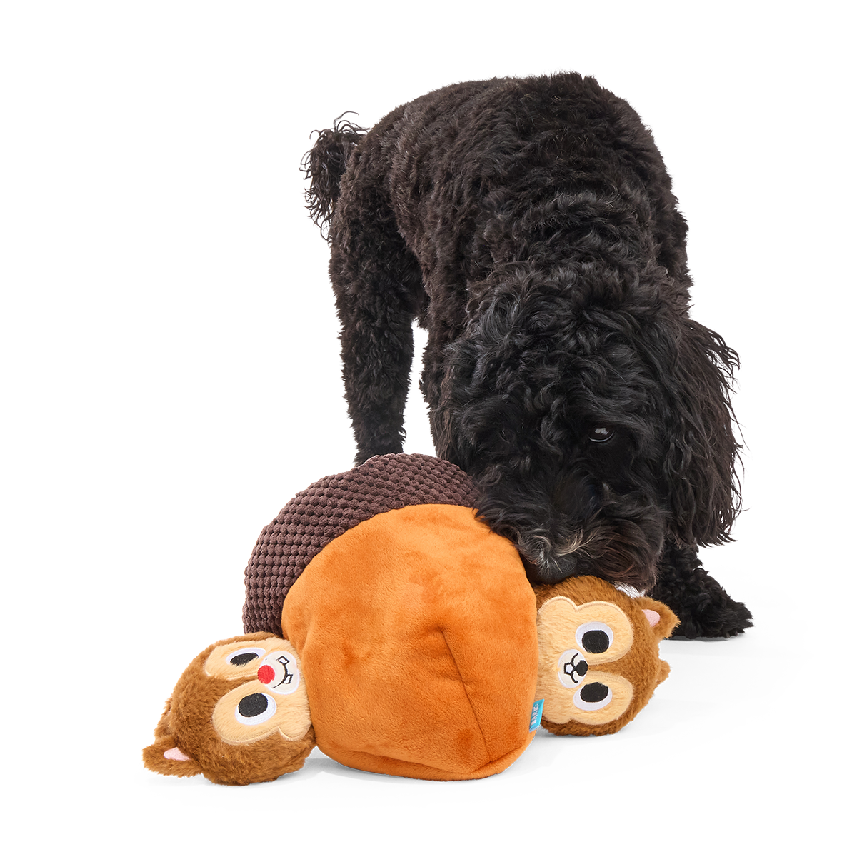 Chip 'N Dale in a Nutshell Plush Multi-Part + Enrichment Dog Toy