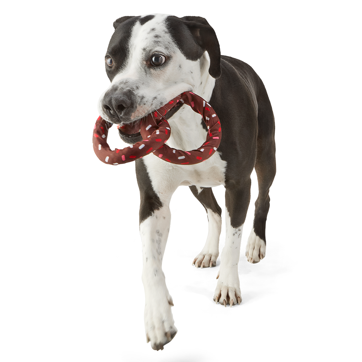 Chocolick Pretzel Plush Extra-Large + Tug Dog Toy