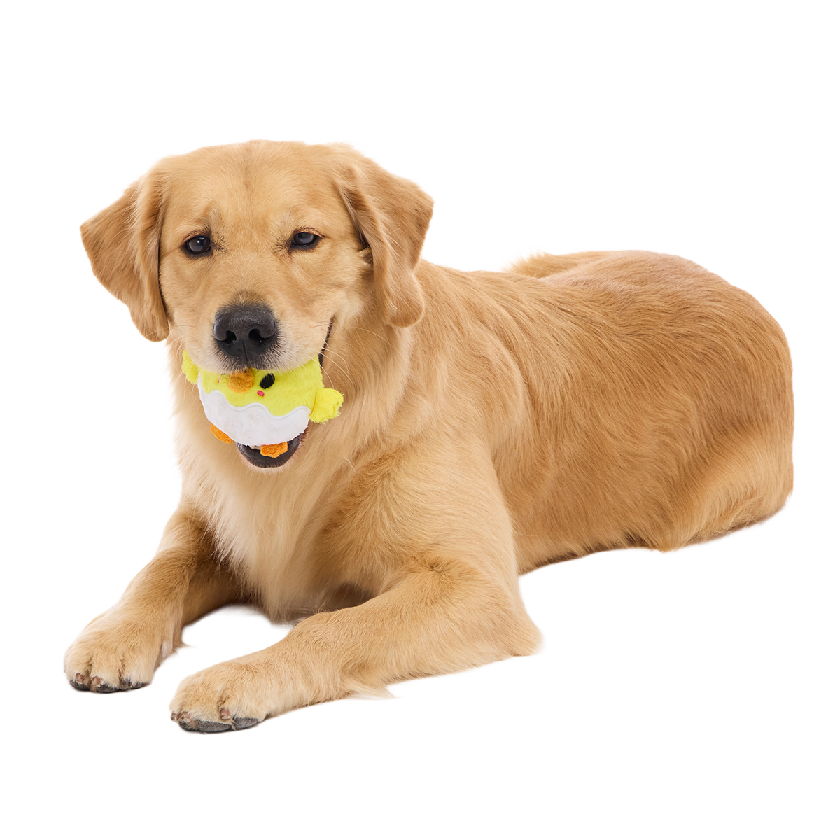 Chuck the Chick Super Chewer Durable 2-in-1 + Fetch Dog Toy
