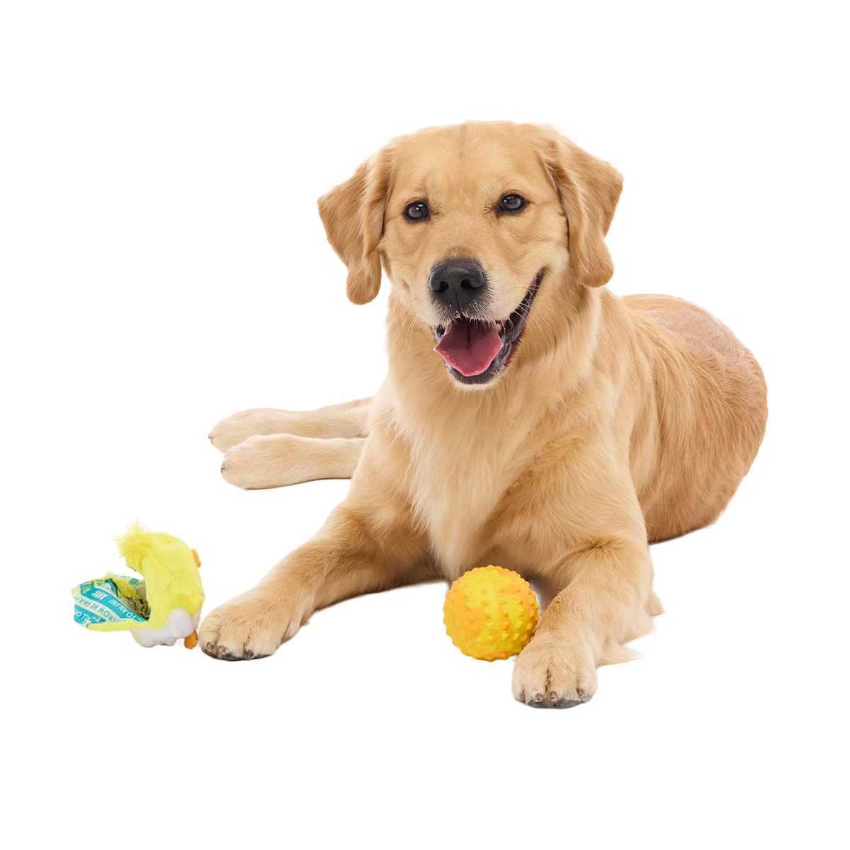 Chuck the Chick Super Chewer Durable 2-in-1 + Fetch Dog Toy