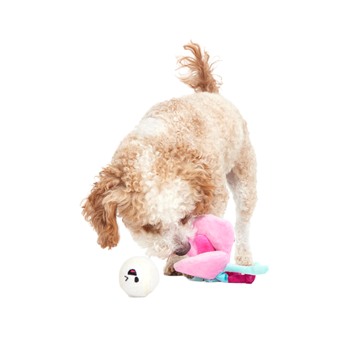 Clamantha Plush Multi-Part + Fetch Dog Toy