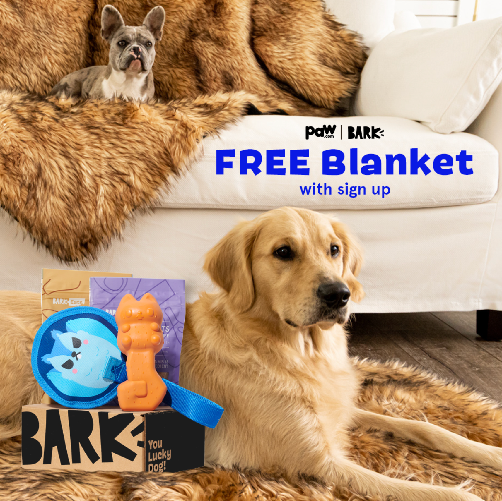 SuperChewer + Free Paw Blanket: 6 Month Subscription