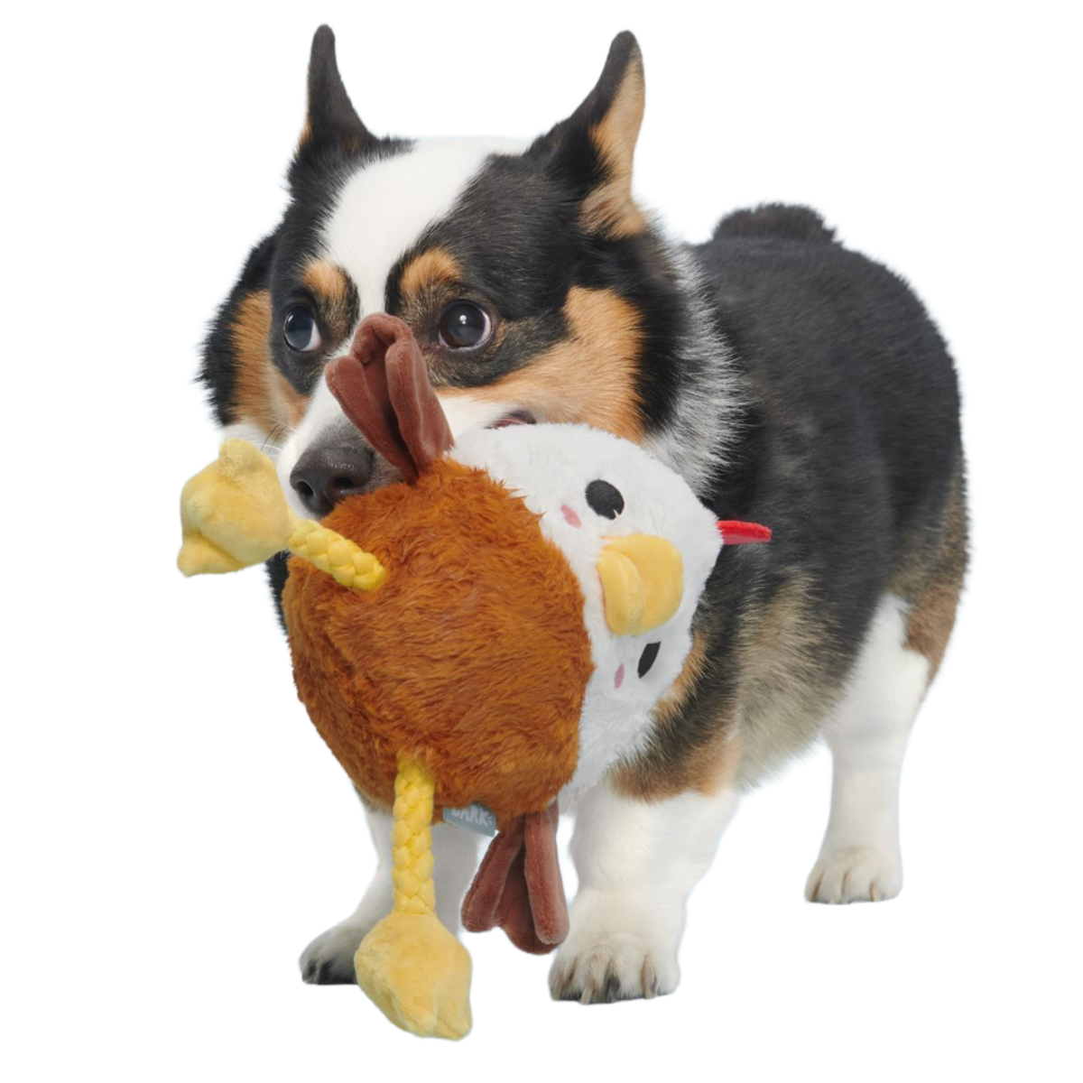 Cock-A-Doodle Dude Plush Tug + Fetch Dog Toy