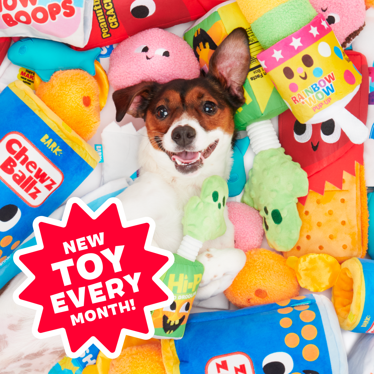 Junk Food Club, Plush Monthly Dog Toys