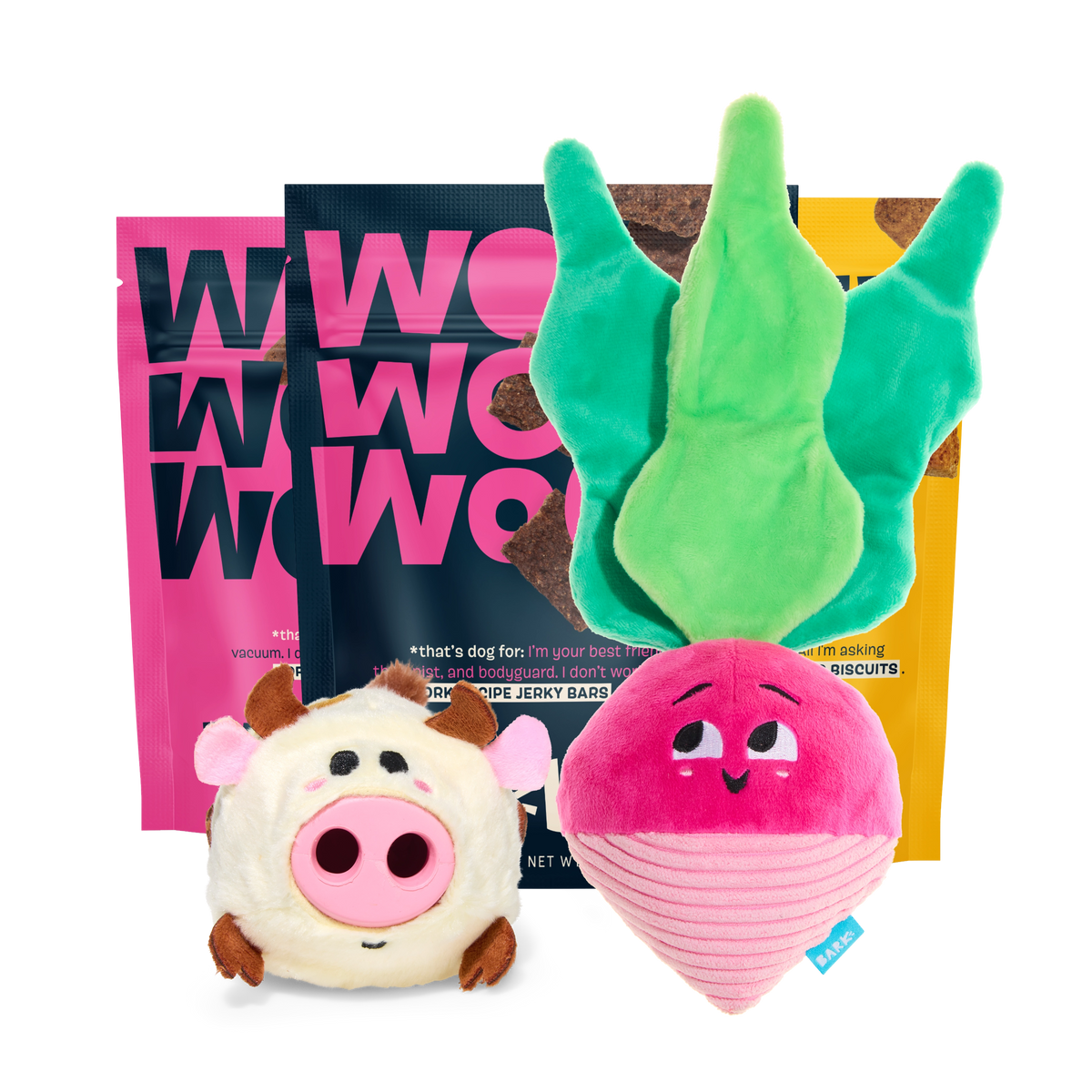 BARK 6 Month Subscription - FREE Extra Treats