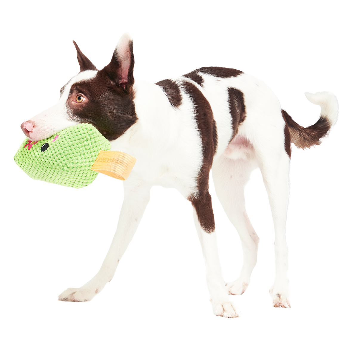 Consuela Pop Plush 2-in-1 + Tug Dog Toy