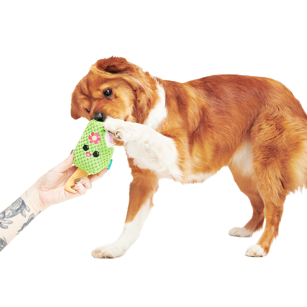 Consuela Pop Plush 2-in-1 + Tug Dog Toy
