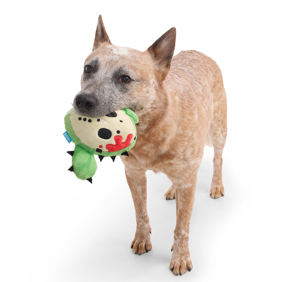 Consuela the Cactus Slasher Plush 2-in-1 + Fetch Dog Toy
