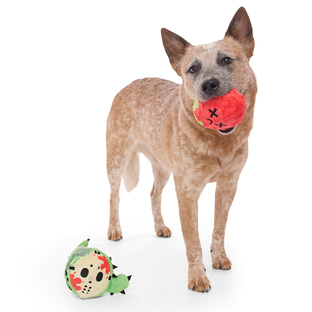 Consuela the Cactus Slasher Plush 2-in-1 + Fetch Dog Toy