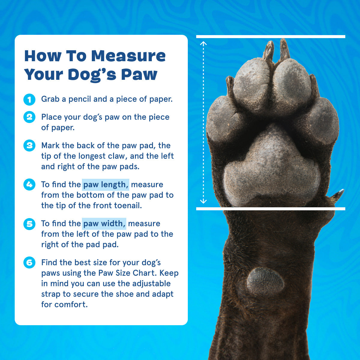 Crocs™ Shoes For Dogs