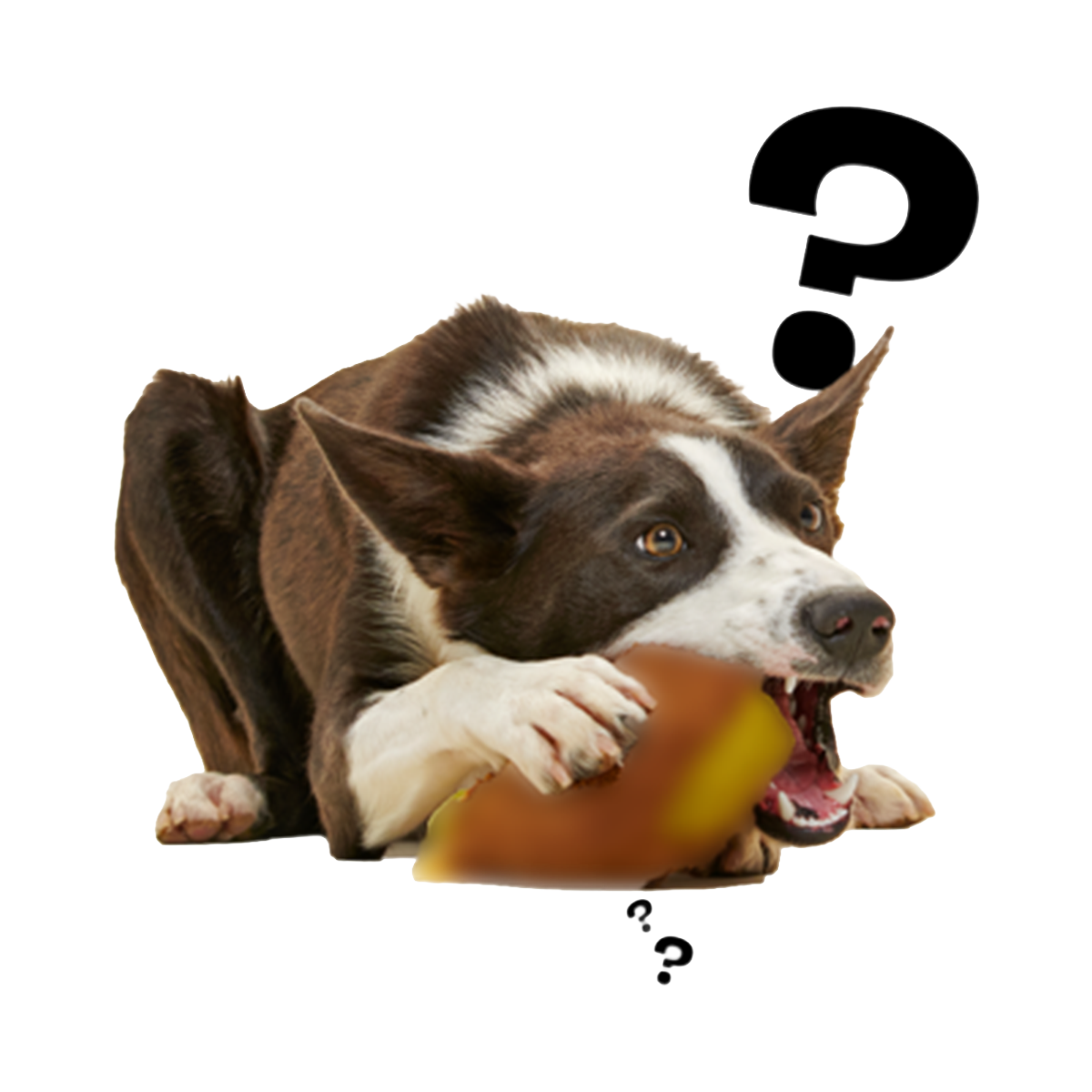 Secret Monster Club, Super Chewer Durable 2-in-1 Rip and Reveal Monthly Dog Toys