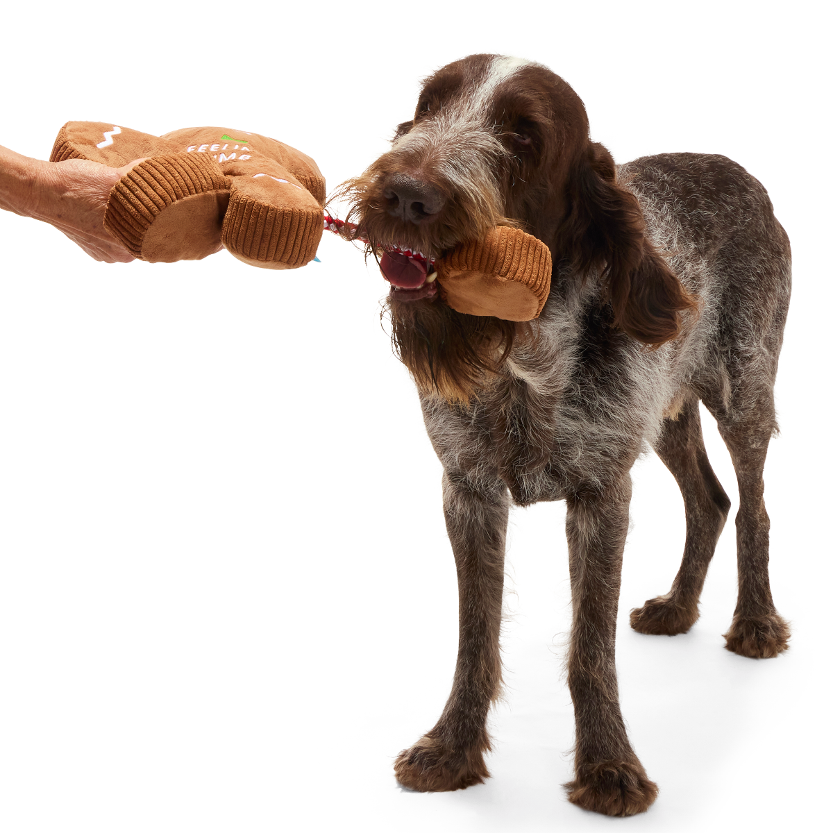 The Crumbum King Plush Extra-Large + Tug Dog Toy