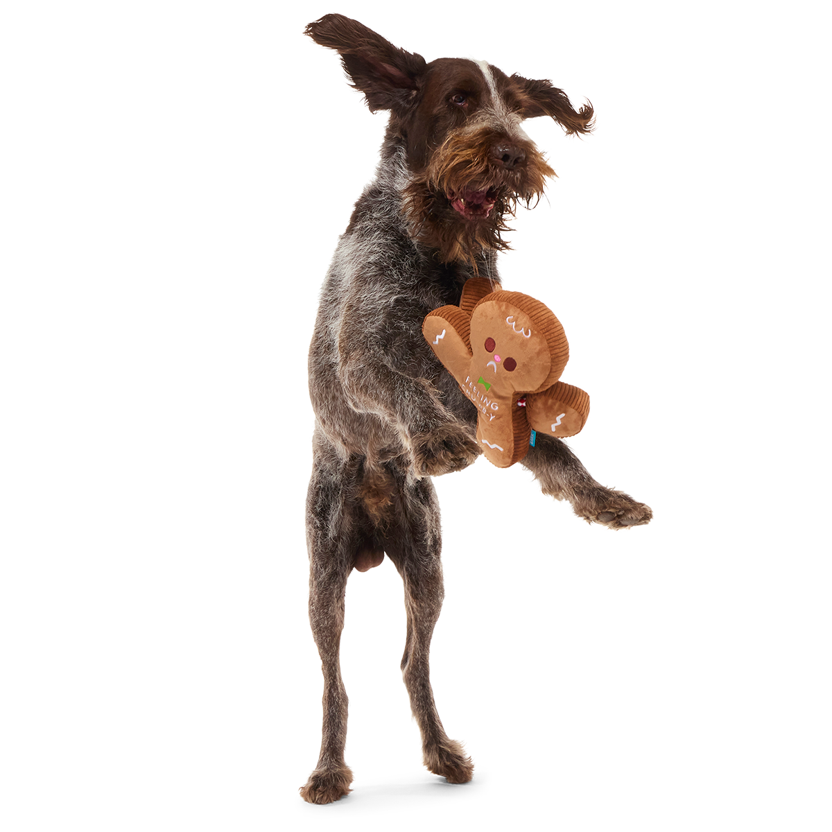 The Crumbum King Plush Extra-Large + Tug Dog Toy