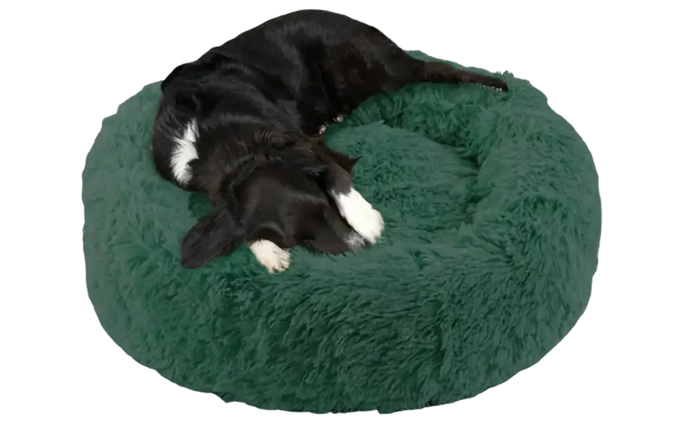 Dog Bed