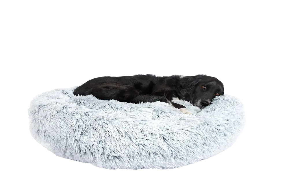 Dog Bed