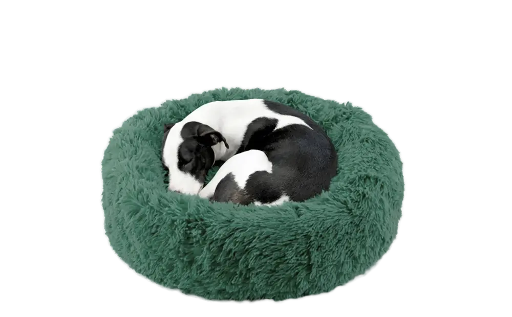 Dog Bed