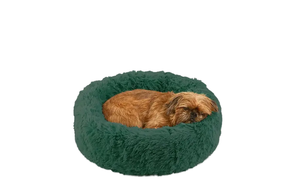 Dog Bed