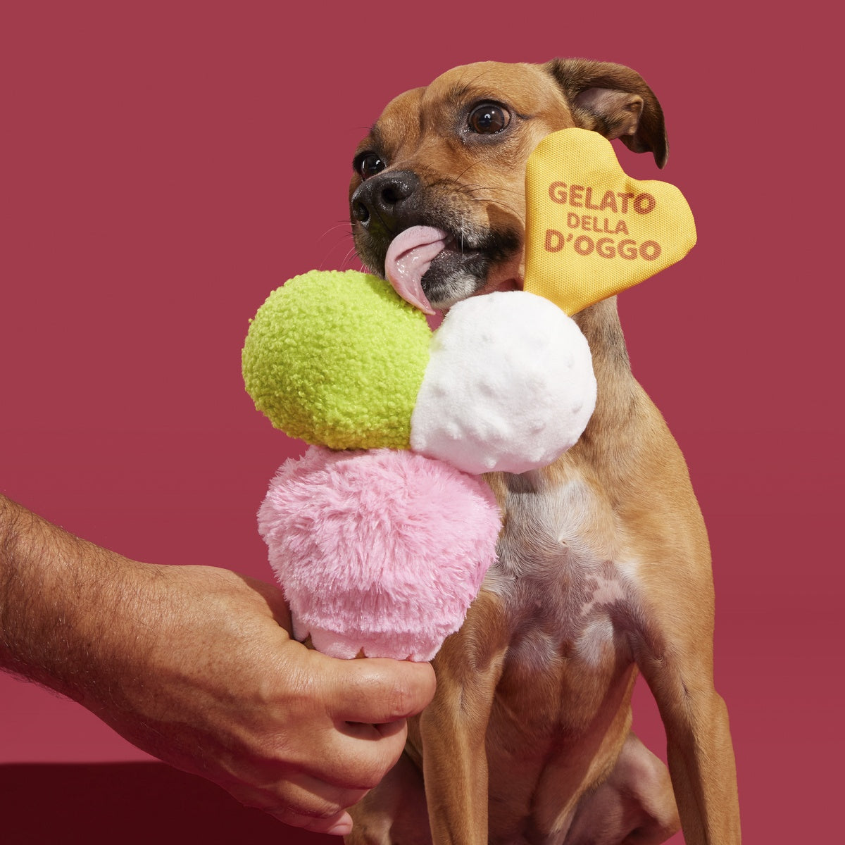 D'oggo Gelato Plush Dog Toy