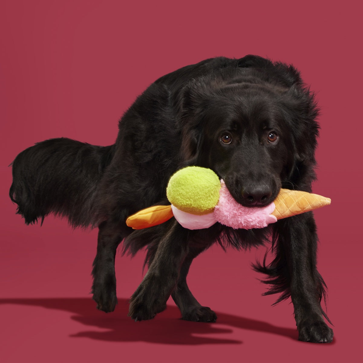 D'oggo Gelato Plush Dog Toy