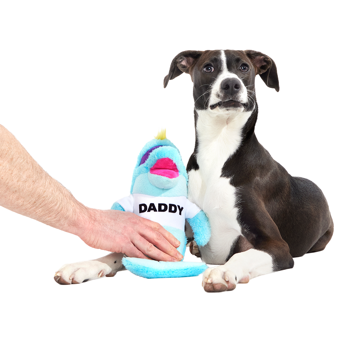 Daddy Dolphin Plush Tug Dog Toy