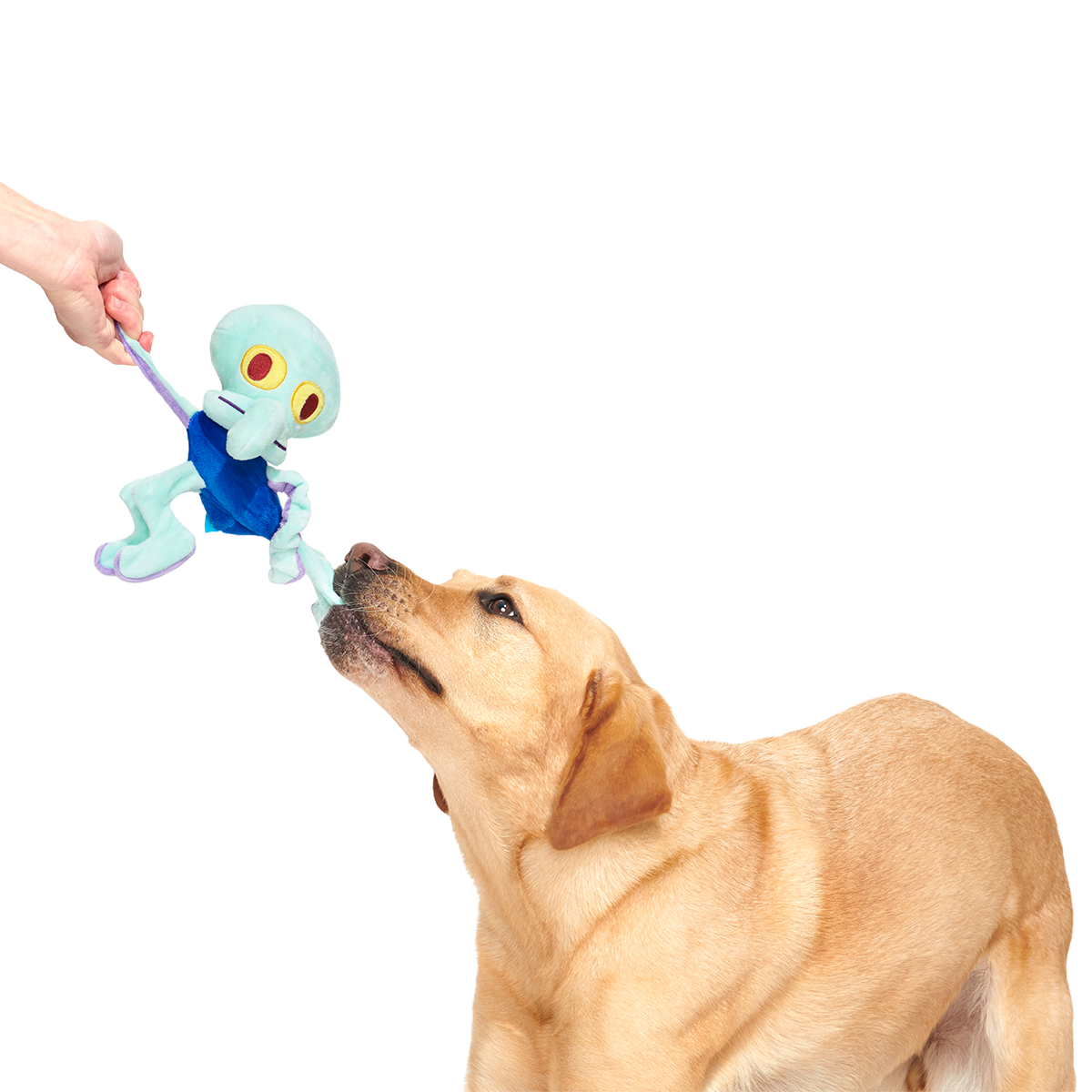 Dancing Squidward Plush Tug Dog Toy
