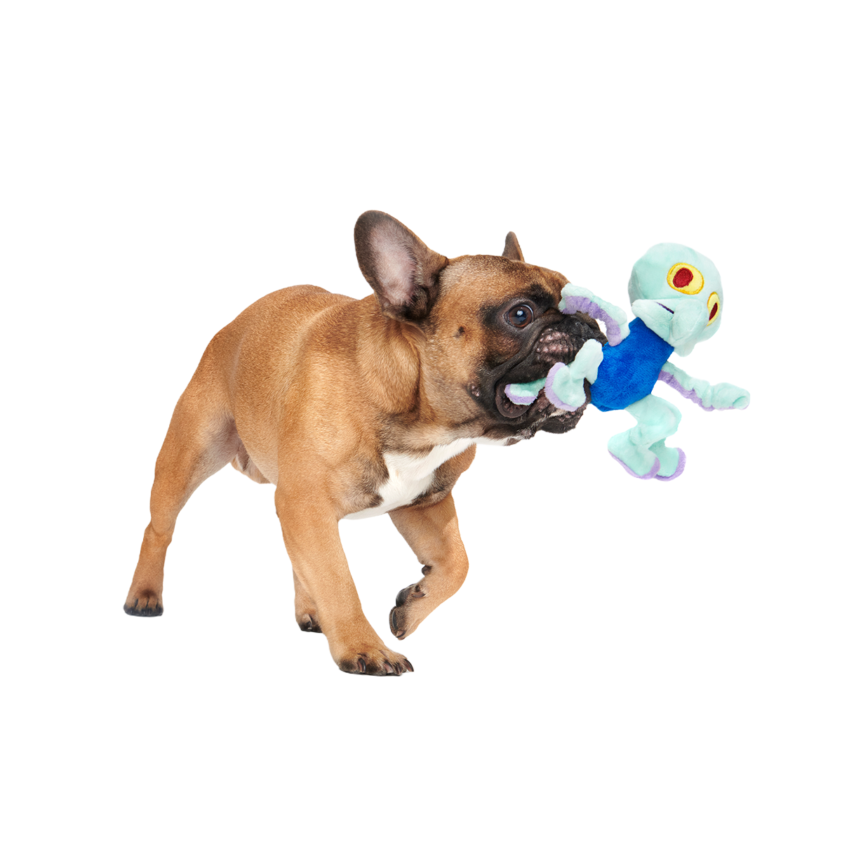 Dancing Squidward Plush Tug Dog Toy