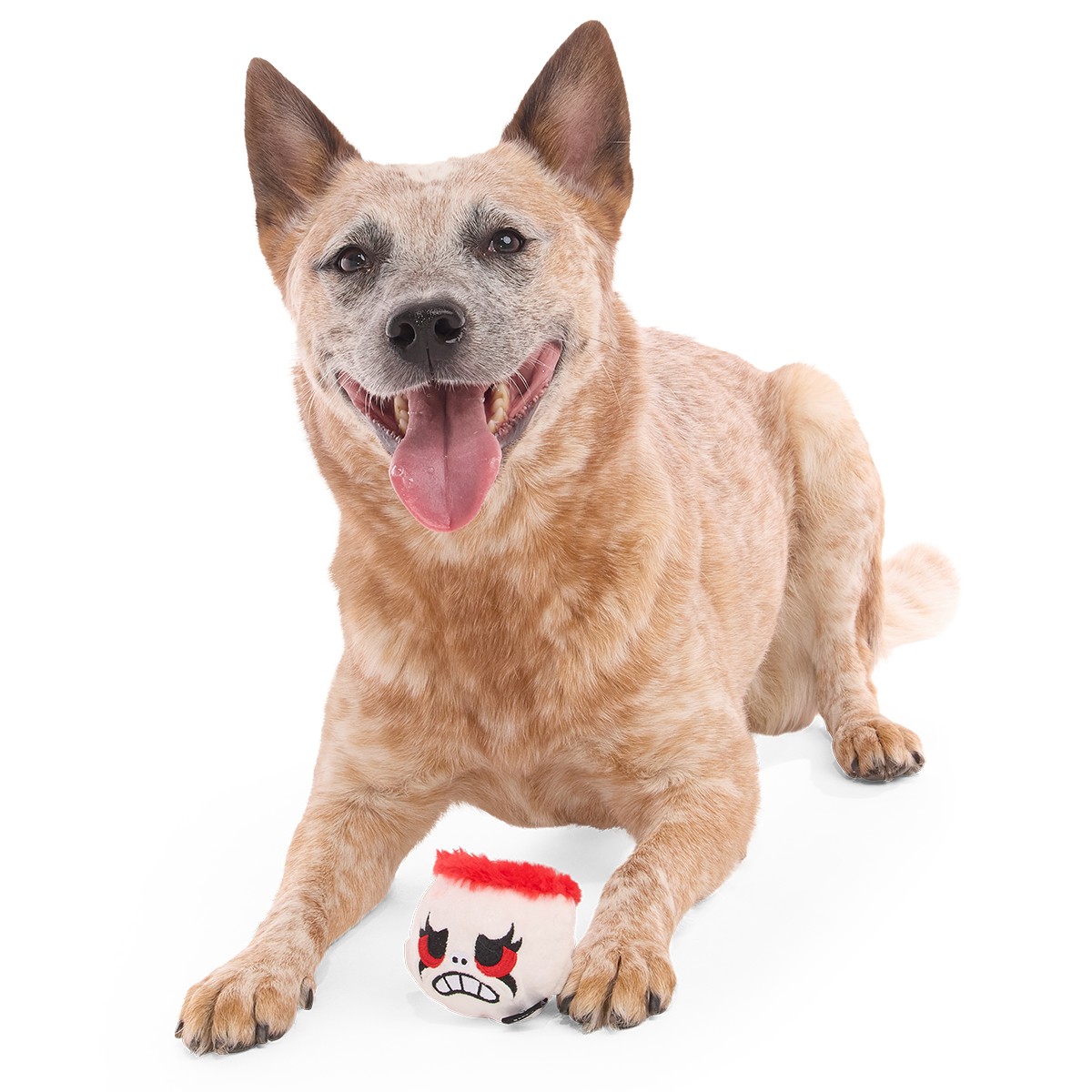 Dead Head Super Chewer Durable 2-in-1 + Fetch Dog Toy