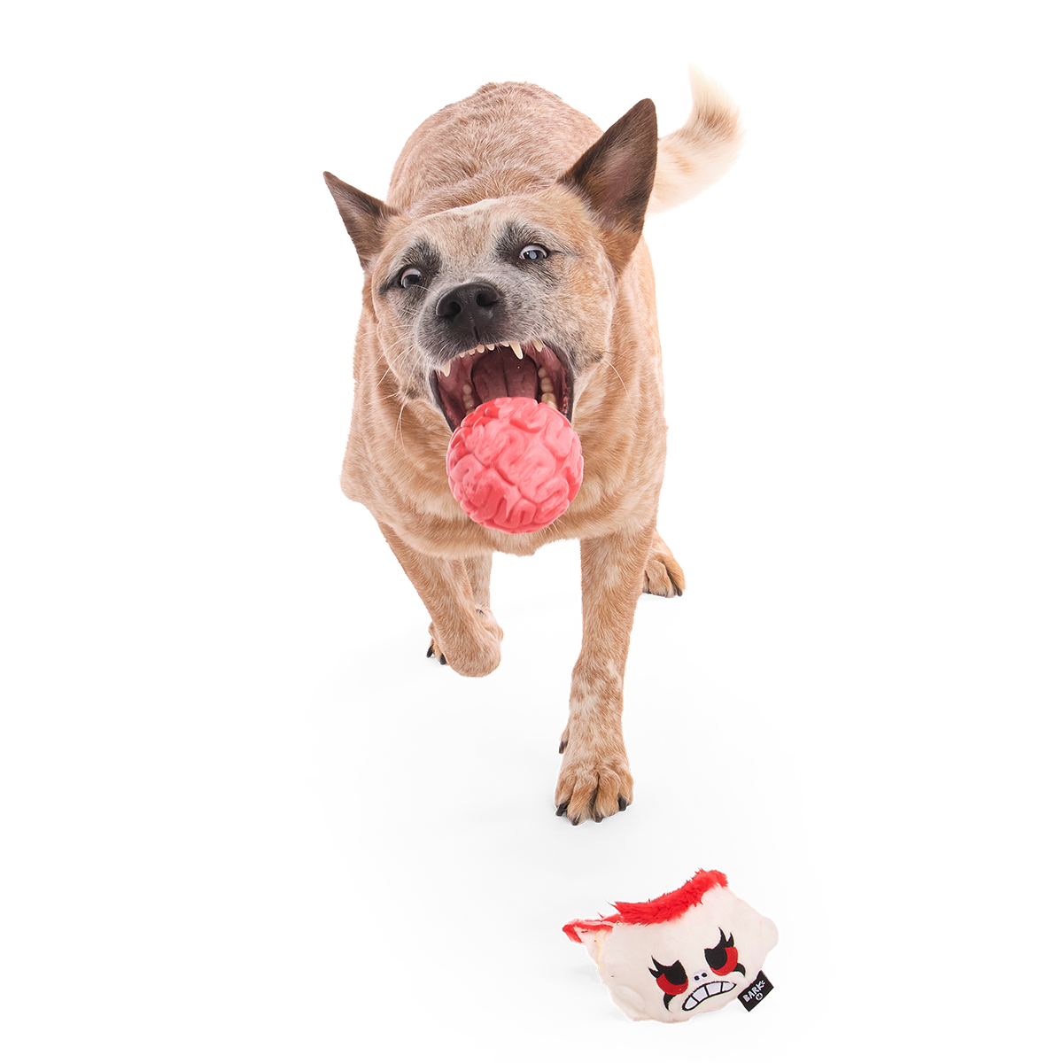 Dead Head Super Chewer Durable 2-in-1 + Fetch Dog Toy