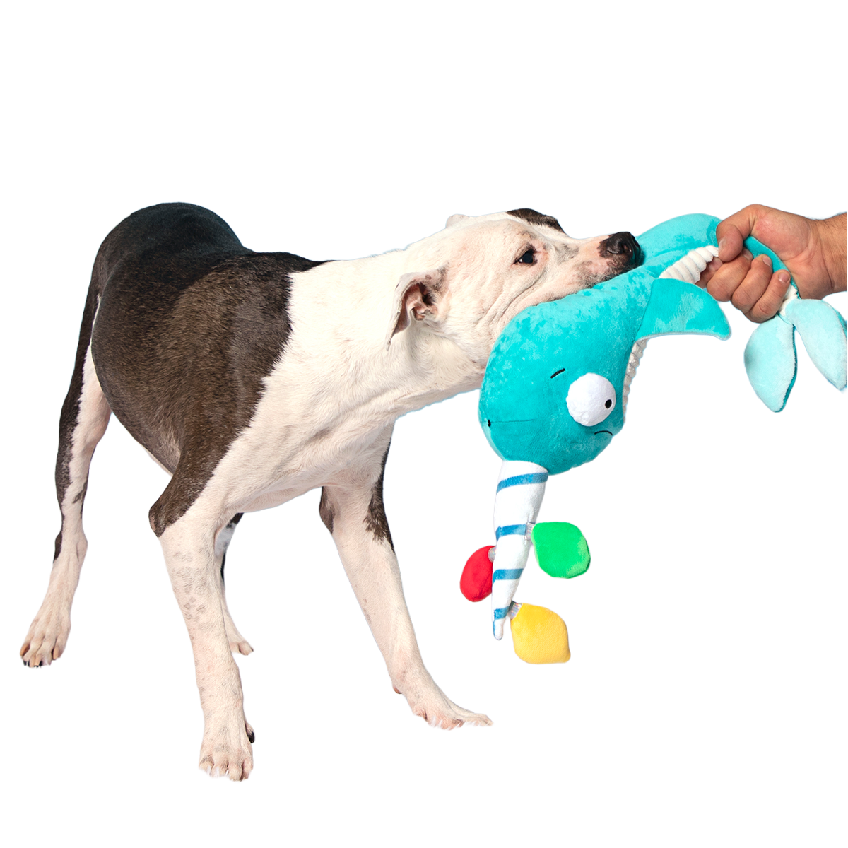 Deck the Narwhal Plush XXL Tug Dog Toy